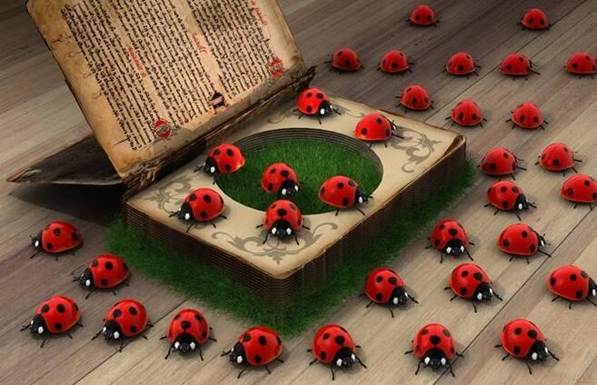 Ladybug un símbolo de ayuda divina, protección. 