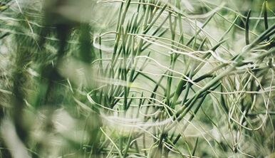 Cómo hacer un amuleto de buena suerte con tus propias manos.