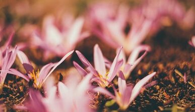 cómo hacer un amuleto de buena suerte con tus propias manos